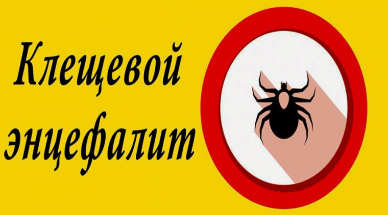 Клещевой вирусный энцефалит.